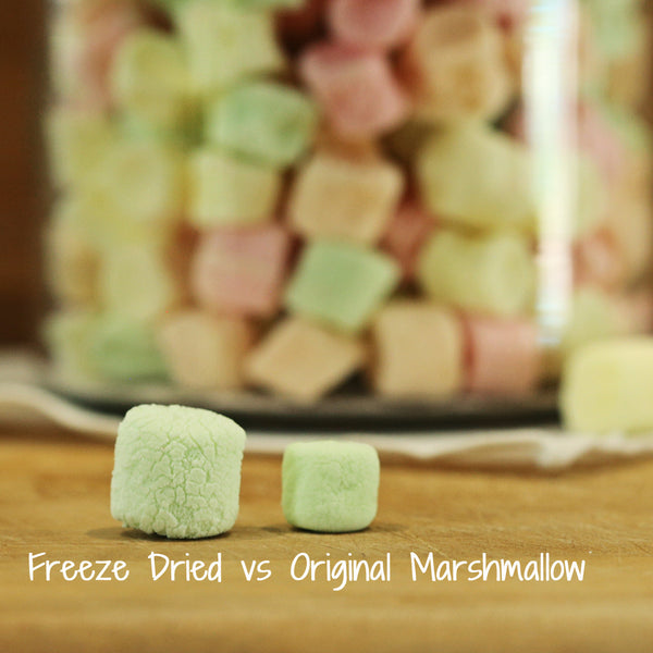 Freeze dried mini marshmallows - dehydrated marshmallows