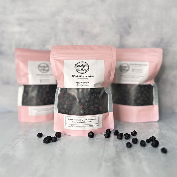freeze-dried-blueberries-prince-edward-county-ontario